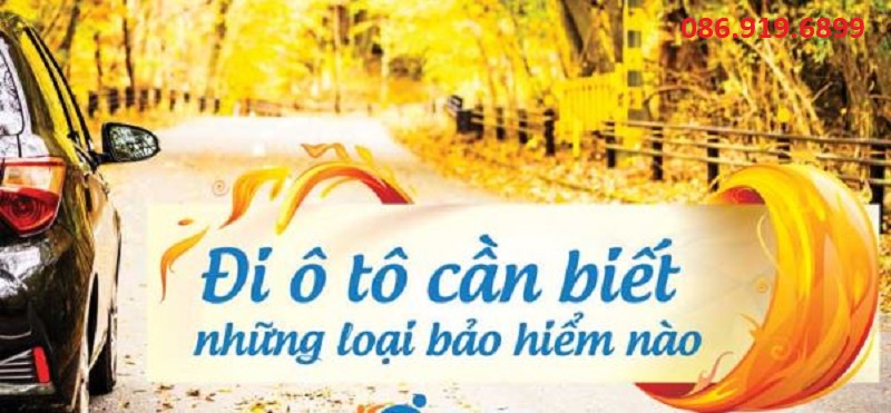 bảo hiểm 